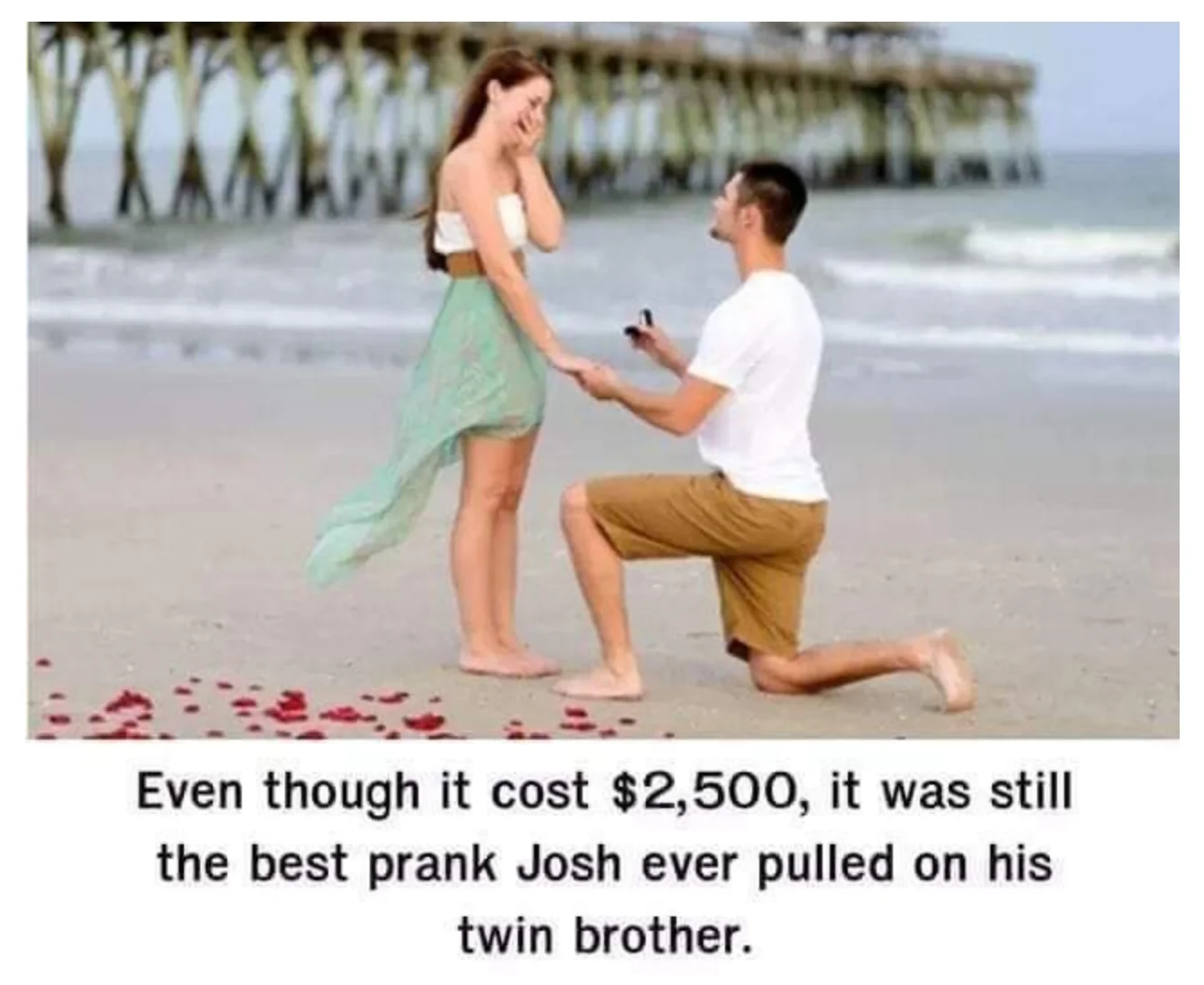 1723119298978.webp
