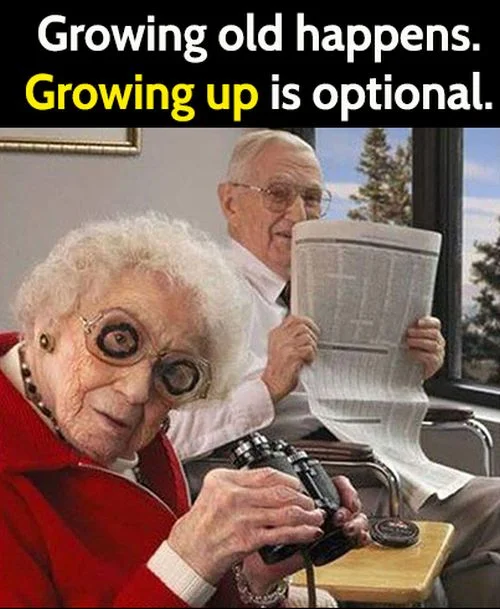1730205699180.webp