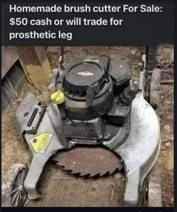 1737465812194.webp