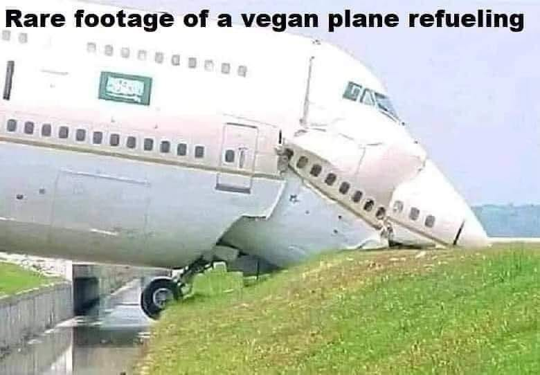 1743442421689.png
