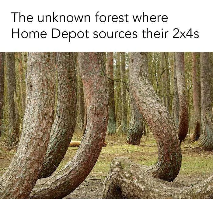 1743782087998.webp