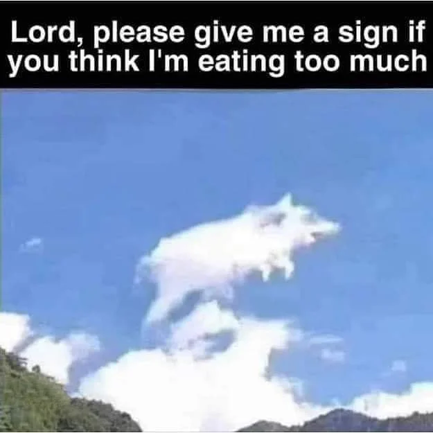 1758541181895.webp