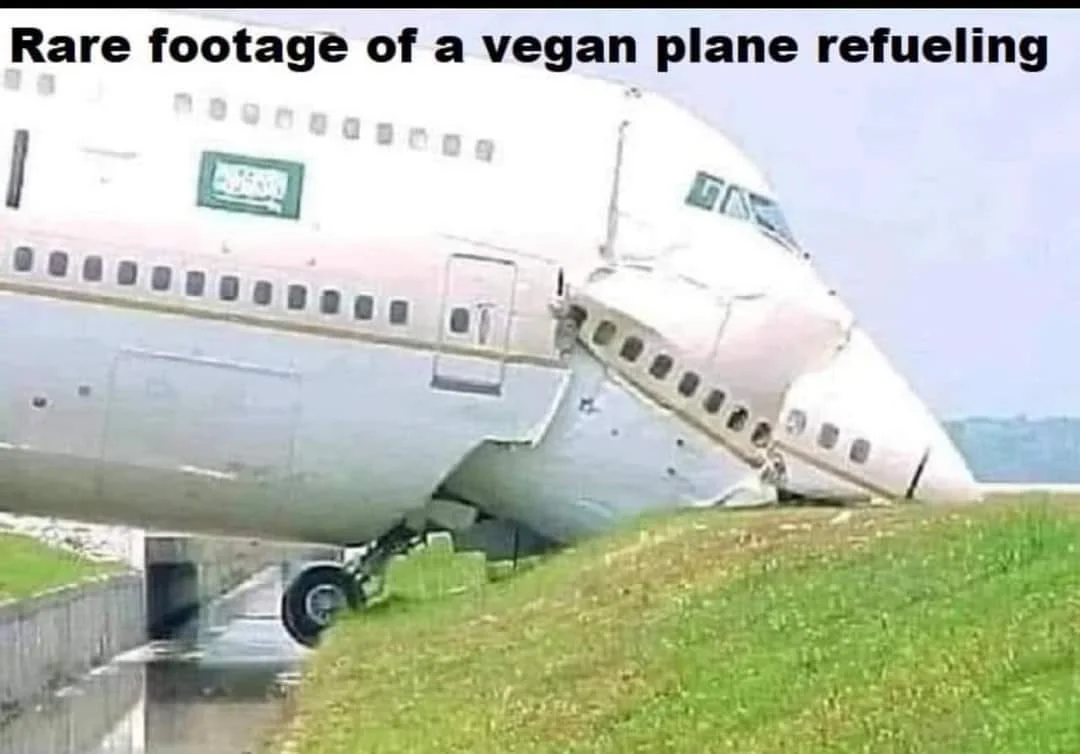 1761672191754.webp