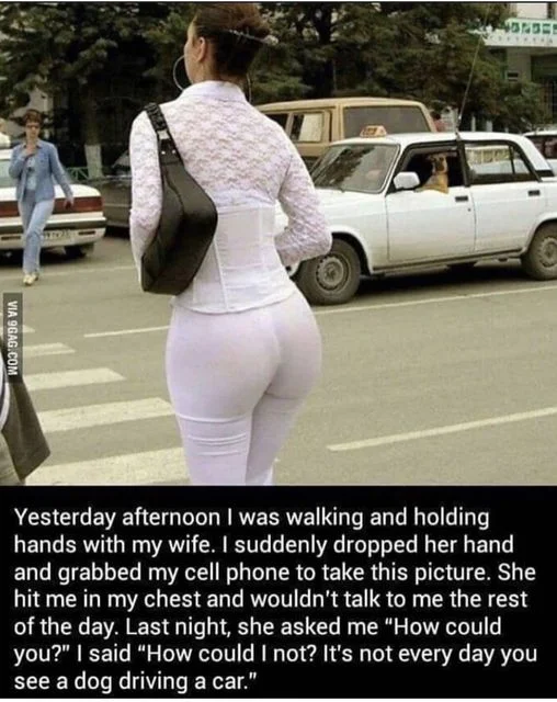 1765286108750.webp
