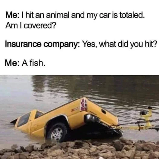 1765286172970.webp