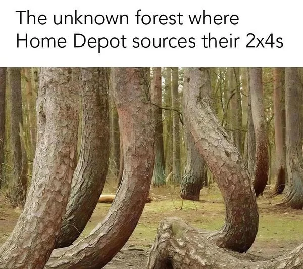 1768399293512.webp