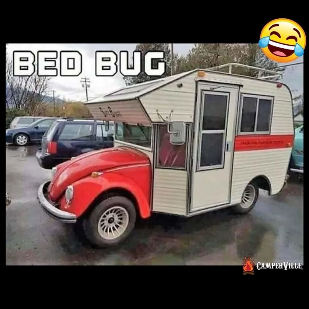 1769173178949.webp