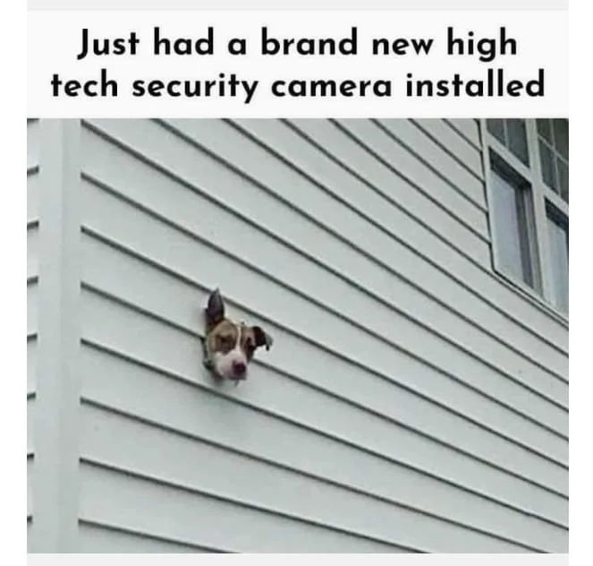 1769466172119.webp