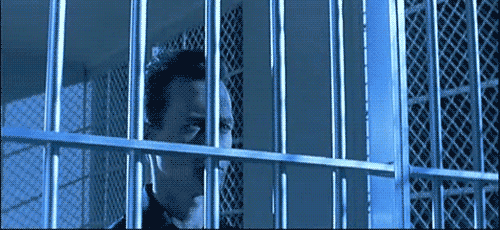 1Yv1.gif