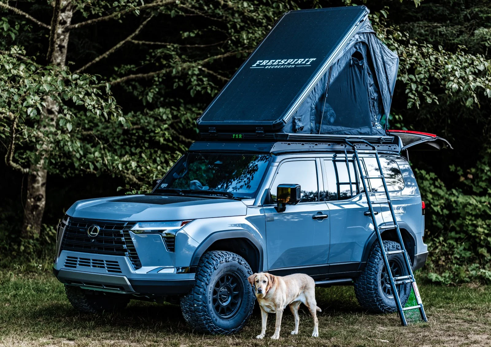 Camping Aug25-54.webp