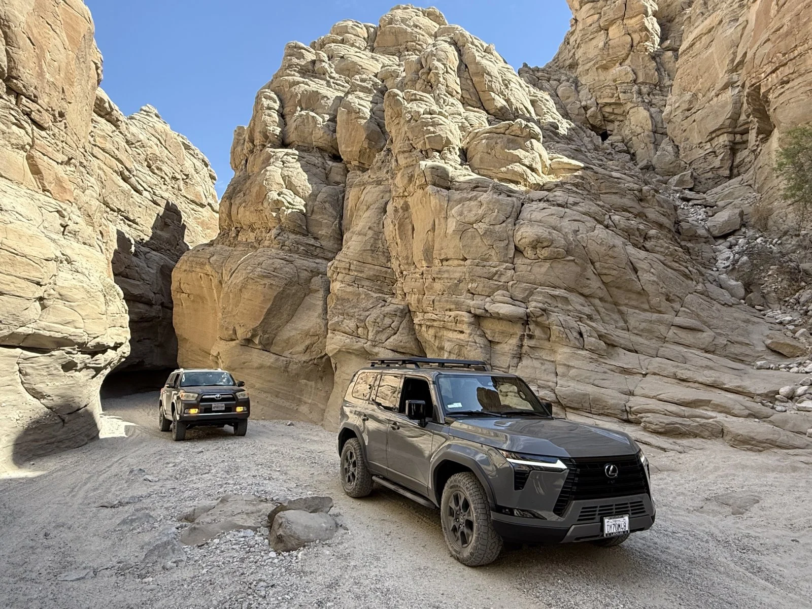 IMG_0068.webp