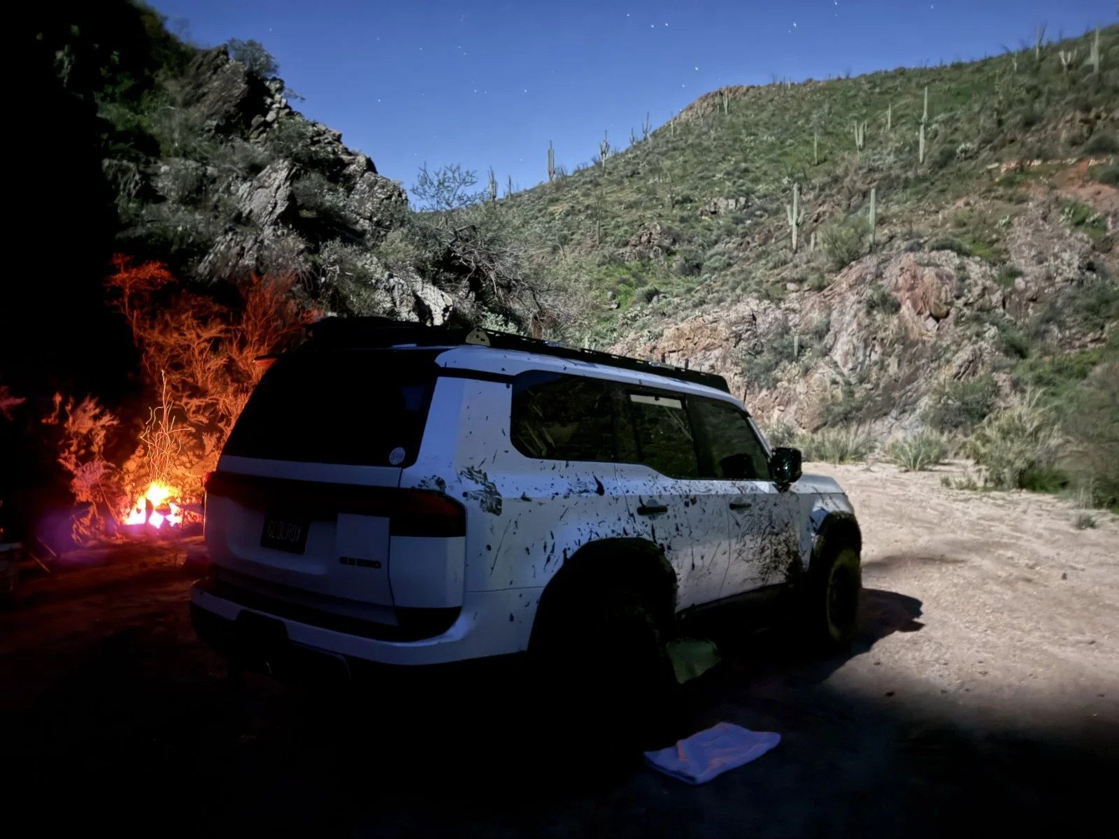 IMG_9233.webp