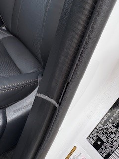 lexus.door.weatherstripping.jpg