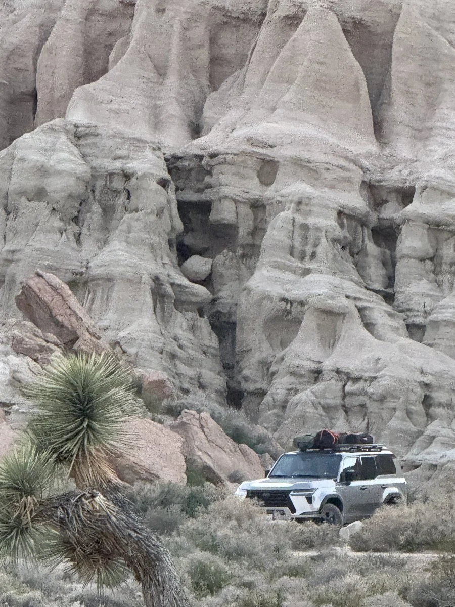 YellowLab 🏆 February 2026 Lexus GX of the Month Winner!