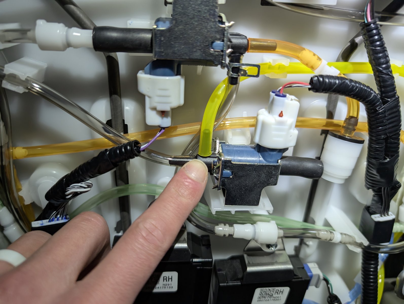 PXL_20251031_134449298 - Copy.jpg