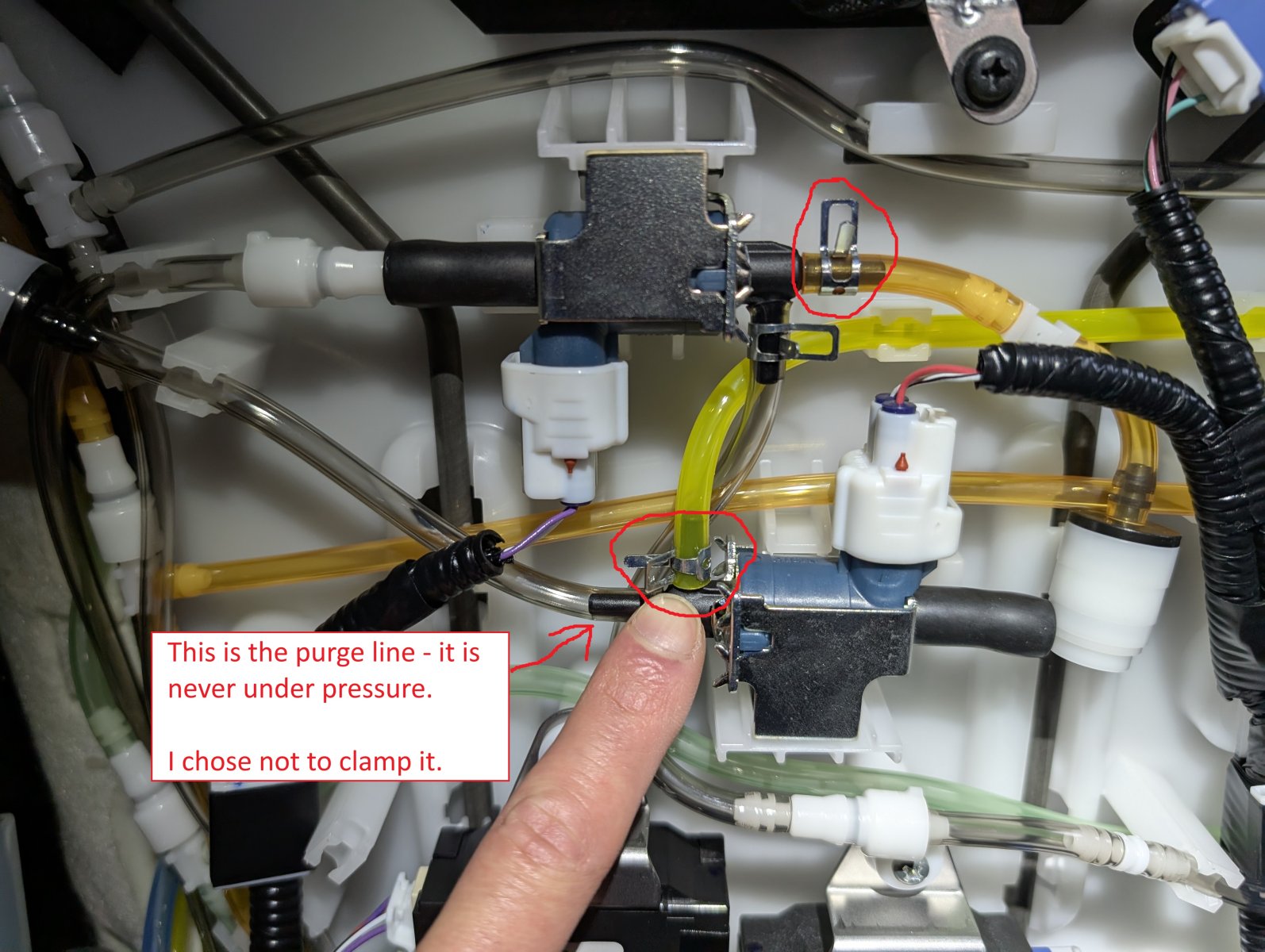 PXL_20251031_164810607 - Copy.jpg