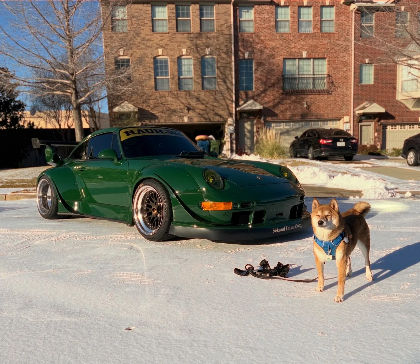rwb kuma.webp