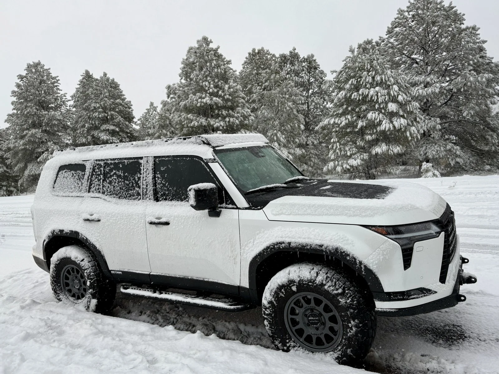 snowGX.webp