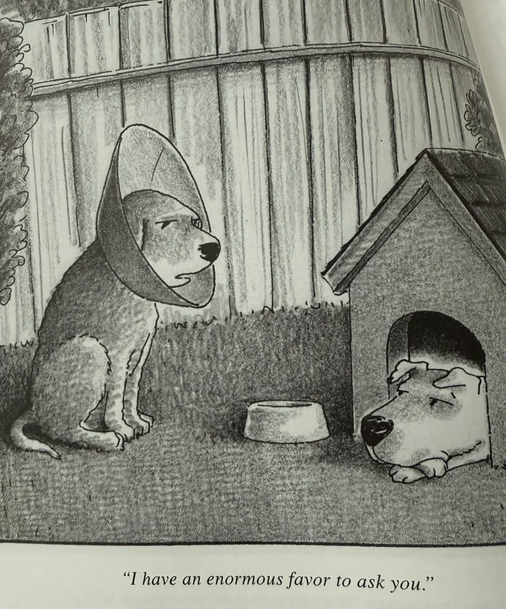 tempImageMqNJs8.png