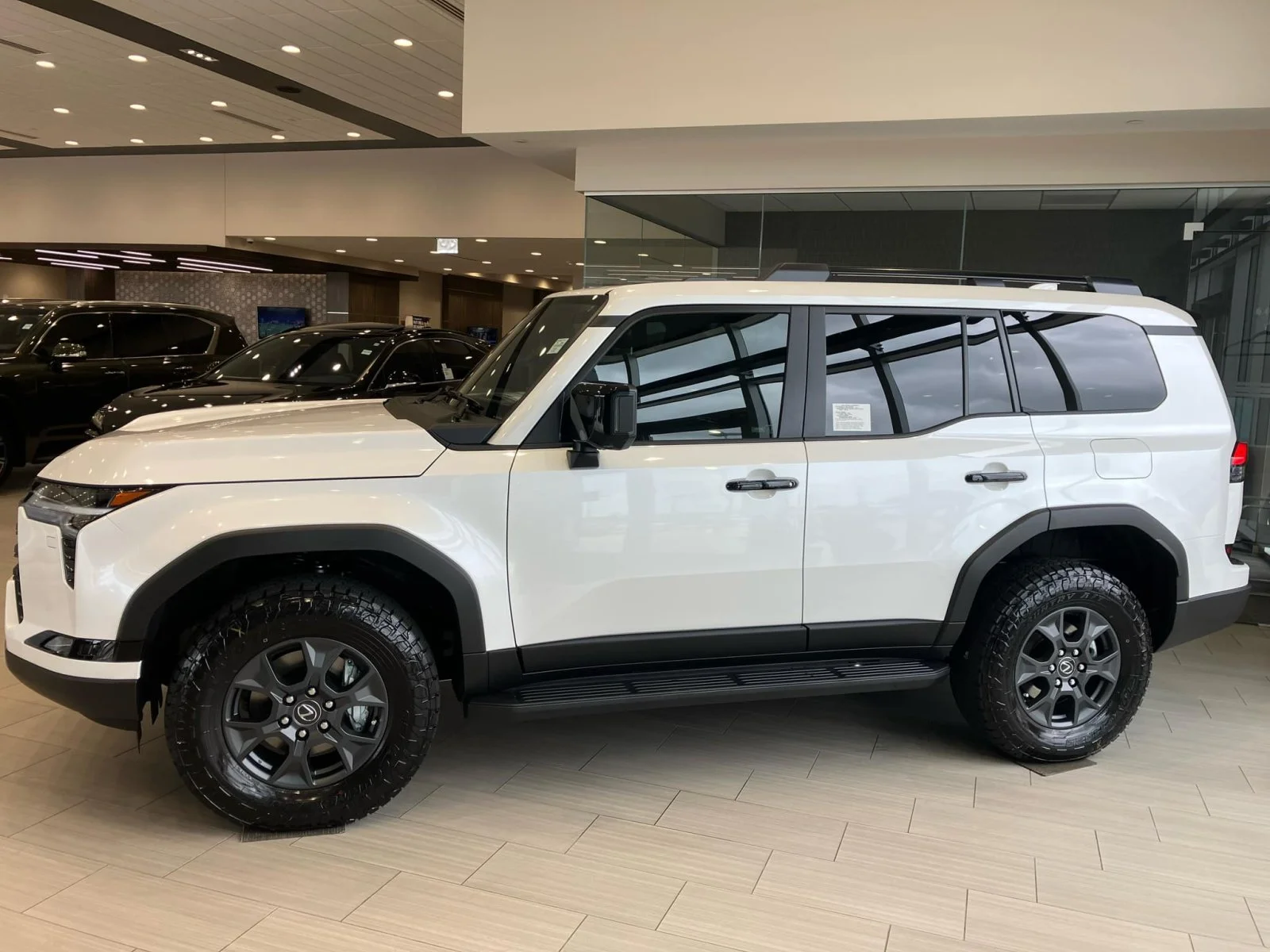 white-550-overtrail42724-2.webp