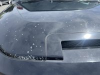 IMG_3718.jpeg