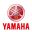 1718817117281.webp