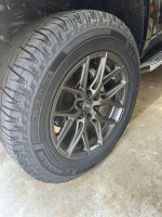IMG_3729.jpeg