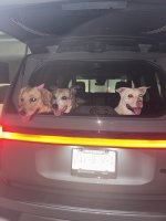 IMG_6572.jpeg