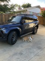 IMG_1014.jpeg