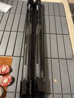 IMG_4956.jpeg