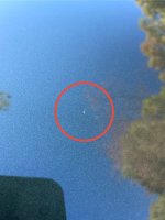 IMG_4557.jpeg