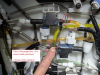 PXL_20251031_164810607 - Copy.jpg