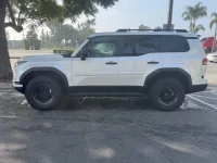 TE side view.webp