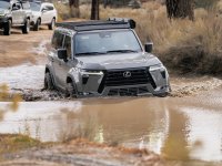 Photo contest thumbnail