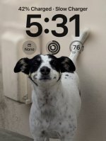 IMG_9365.jpeg