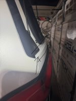 IMG_2695.jpeg
