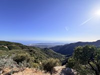 IMG_4971.jpeg