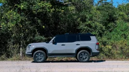 What did you do in your GX today?