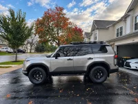 What did you do in your GX today?