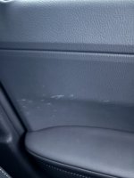 IMG_2109.jpeg