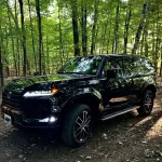 Photo contest thumbnail