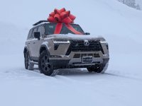 Photo contest thumbnail