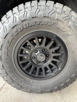 IMG_8584.jpeg