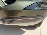Bumper.webp