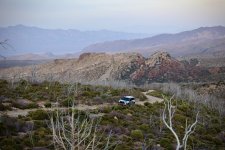 Photo contest thumbnail