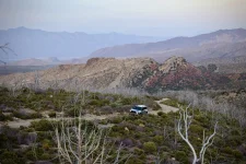 Photo contest thumbnail
