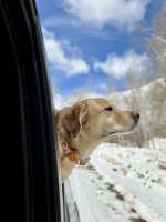 IMG_9930.jpeg