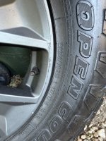 IMG_4194.jpeg