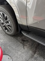 IMG_2560.jpeg