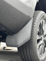 IMG_2572.jpeg